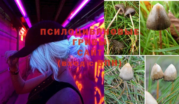 таблы Лиски