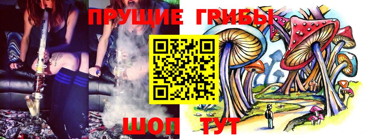 Губкин  Псилоцибиновые грибы Cubensis  Псилоцибиновые грибы мицелий  Вход с VPN 
