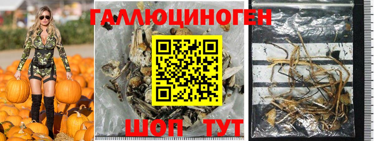 Псилоцибиновые грибы мухоморы  Губкин 